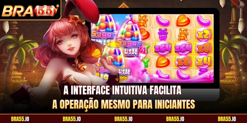 A interface intuitiva facilita a operação mesmo para iniciantes