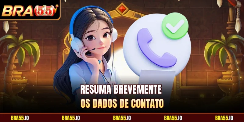 Resuma brevemente os dados de contato